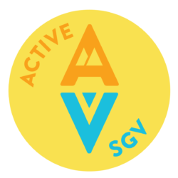 CALIFORNIA AB 2401 – EV INCENTIVES FOR GASOLINE-BURDENED FAMILIES 14